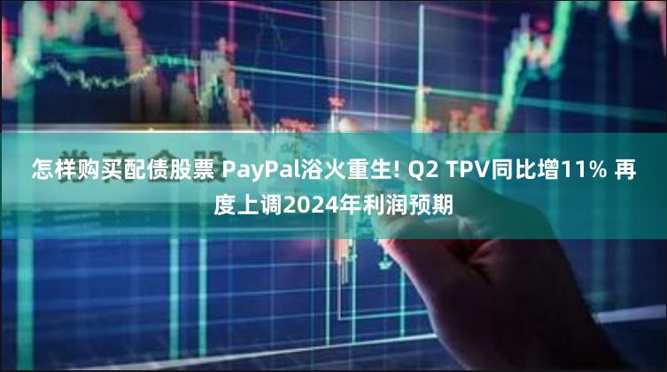 怎样购买配债股票 PayPal浴火重生! Q2 TPV同比增11% 再度上调2024年利润预期