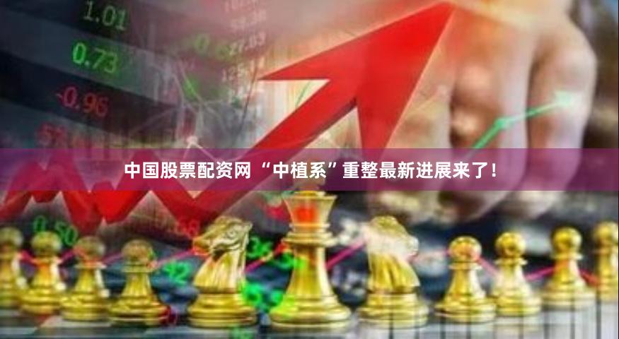 中国股票配资网 “中植系”重整最新进展来了！