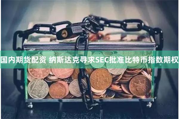 国内期货配资 纳斯达克寻求SEC批准比特币指数期权