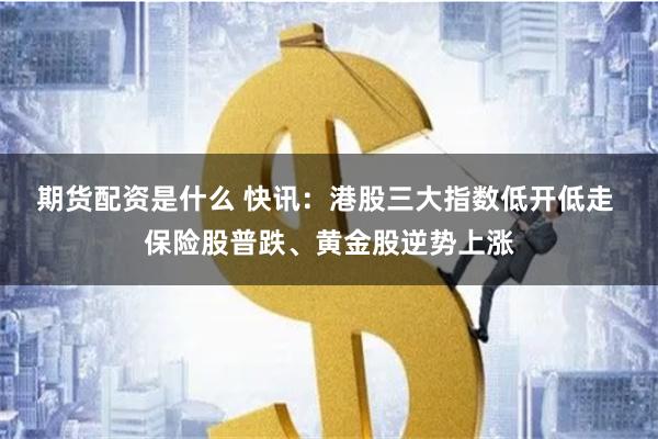 期货配资是什么 快讯：港股三大指数低开低走 保险股普跌、黄金股逆势上涨