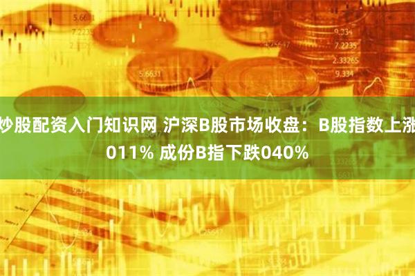 炒股配资入门知识网 沪深B股市场收盘：B股指数上涨011% 成份B指下跌040%