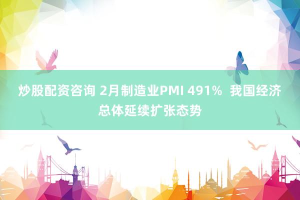 炒股配资咨询 2月制造业PMI 491%  我国经济总体延续扩张态势