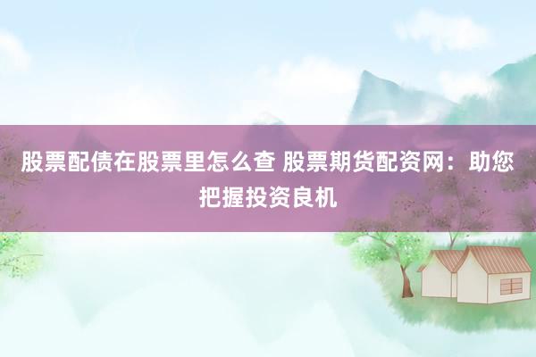 股票配债在股票里怎么查 股票期货配资网：助您把握投资良机